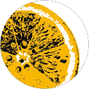 c y profile picture