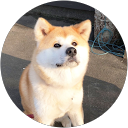 パンチャーカウンター profile picture